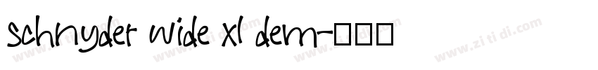 schnyder wide xl dem字体转换